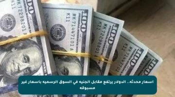 أسعار محدثة.. الدولار يرتفع مقابل الجنيه في السوق الرسمية بأسعار غير مسبوقة